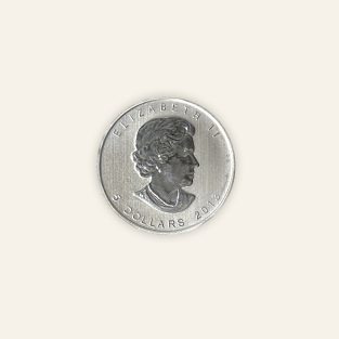 Moneda plata Elizabeth II 5 dollars 2013